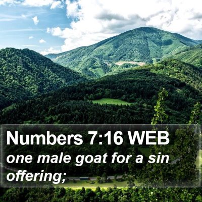 Numbers 7:16 WEB Bible Verse Image
