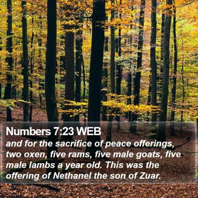 Numbers 7:23 WEB Bible Verse Image