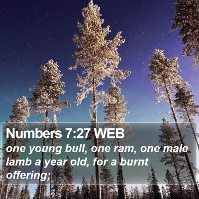 Numbers 7:27 WEB Bible Verse Image