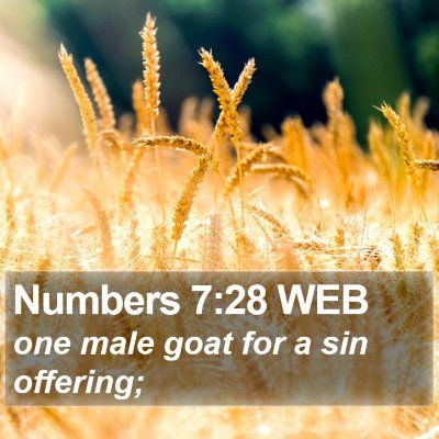 Numbers 7:28 WEB Bible Verse Image