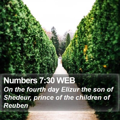 Numbers 7:30 WEB Bible Verse Image