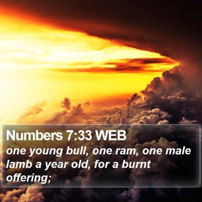 Numbers 7:33 WEB Bible Verse Image
