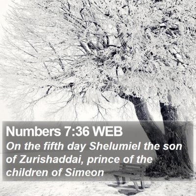 Numbers 7:36 WEB Bible Verse Image