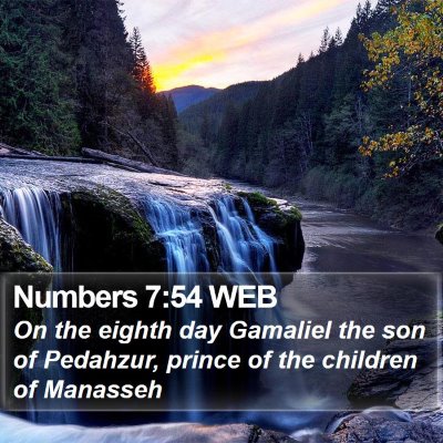 Numbers 7:54 WEB Bible Verse Image