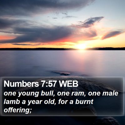 Numbers 7:57 WEB Bible Verse Image