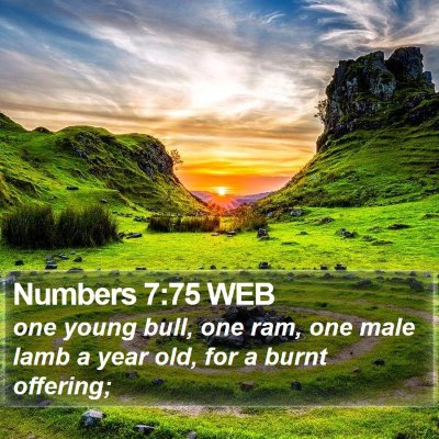Numbers 7:75 WEB Bible Verse Image