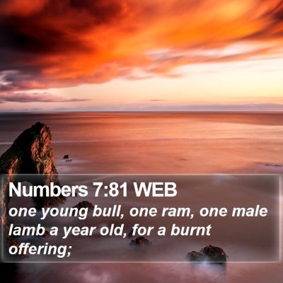 Numbers 7:81 WEB Bible Verse Image