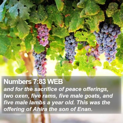 Numbers 7:83 WEB Bible Verse Image