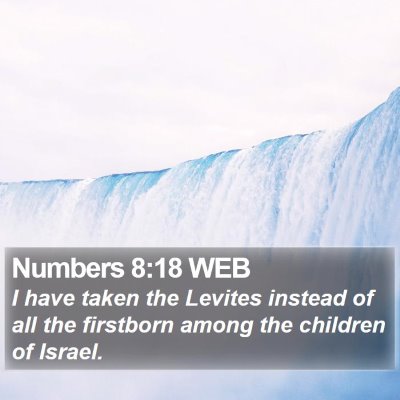 Numbers 8:18 WEB Bible Verse Image