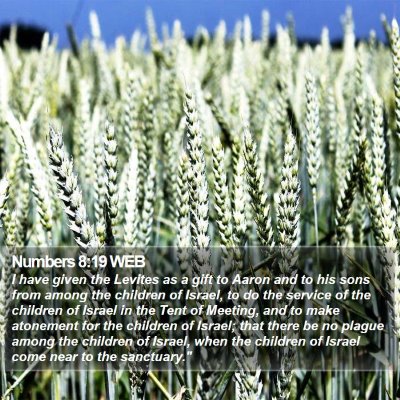Numbers 8:19 WEB Bible Verse Image
