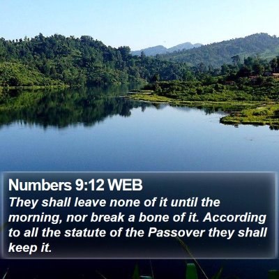 Numbers 9:12 WEB Bible Verse Image