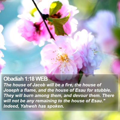 Obadiah 1:18 WEB Bible Verse Image