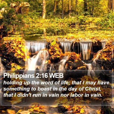 Philippians 2:16 WEB Bible Verse Image