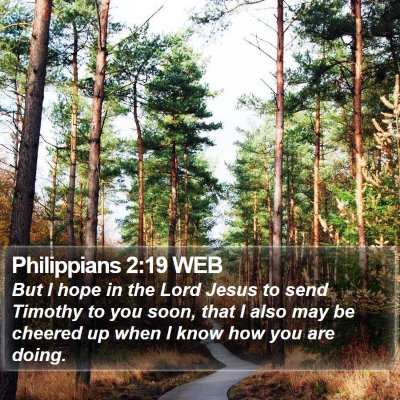 Philippians 2:19 WEB Bible Verse Image