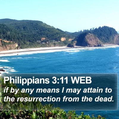 Philippians 3:11 WEB Bible Verse Image