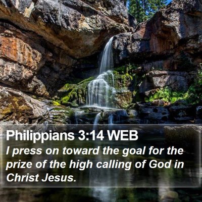 Philippians 3:14 WEB Bible Verse Image