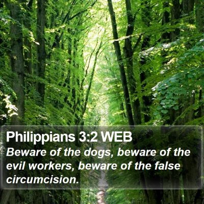 Philippians 3:2 WEB Bible Verse Image