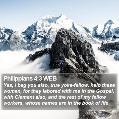 Philippians 4:3 WEB Bible Verse Image