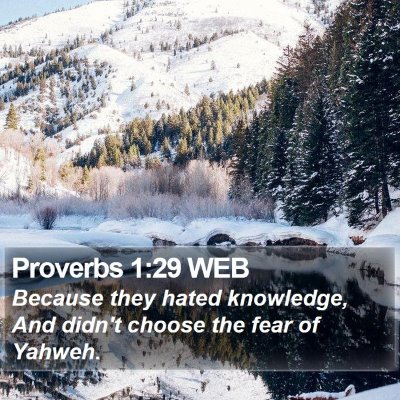 Proverbs 1:29 WEB Bible Verse Image