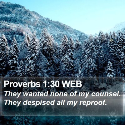 Proverbs 1:30 WEB Bible Verse Image