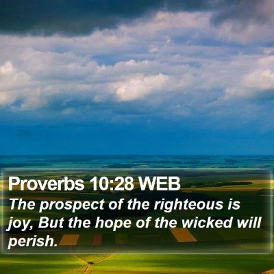Proverbs 10:28 WEB Bible Verse Image