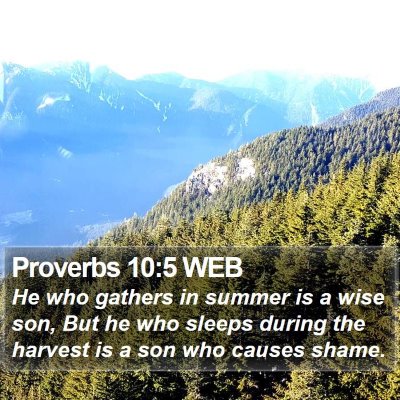 Proverbs 10:5 WEB Bible Verse Image