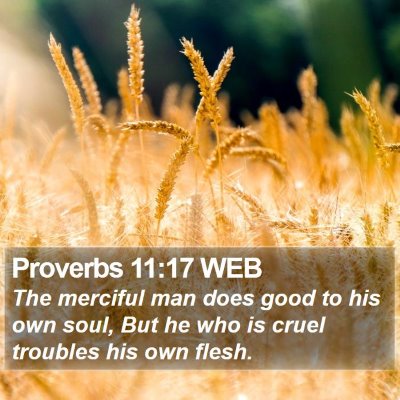 Proverbs 11:17 WEB Bible Verse Image