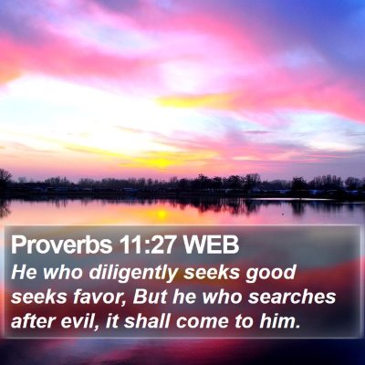 Proverbs 11:27 WEB Bible Verse Image