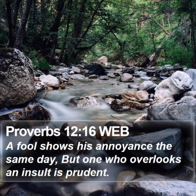 Proverbs 12:16 WEB Bible Verse Image