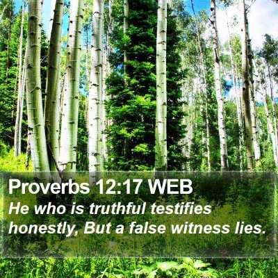 Proverbs 12:17 WEB Bible Verse Image