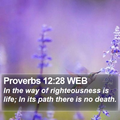 Proverbs 12:28 WEB Bible Verse Image