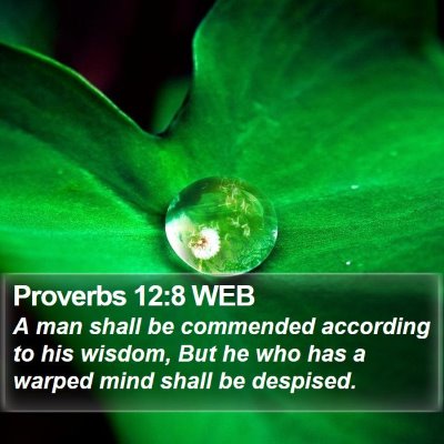 Proverbs 12:8 WEB Bible Verse Image