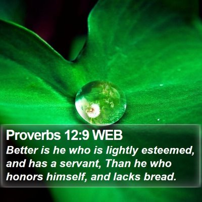 Proverbs 12:9 WEB Bible Verse Image