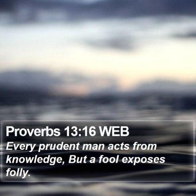 Proverbs 13:16 WEB Bible Verse Image