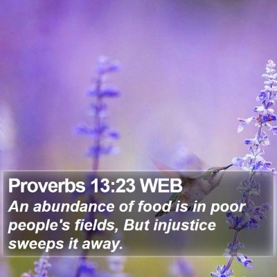 Proverbs 13:23 WEB Bible Verse Image
