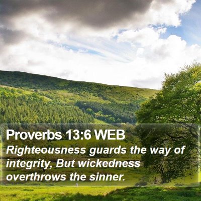 Proverbs 13:6 WEB Bible Verse Image