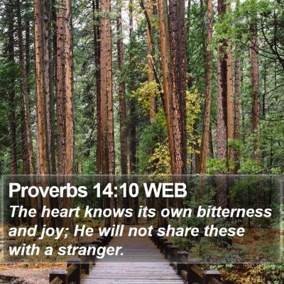 Proverbs 14:10 WEB Bible Verse Image