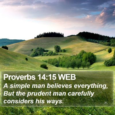 Proverbs 14:15 WEB Bible Verse Image