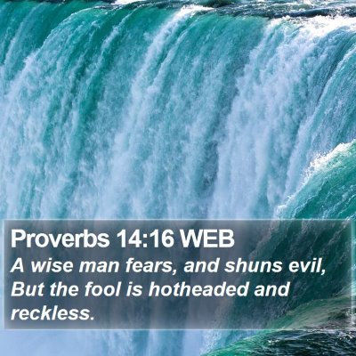 Proverbs 14:16 WEB Bible Verse Image