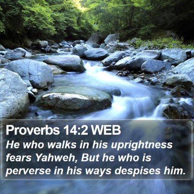 Proverbs 14:2 WEB Bible Verse Image