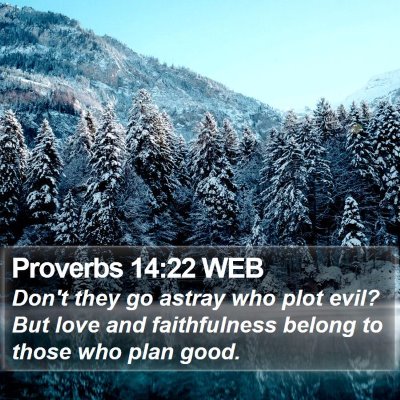 Proverbs 14:22 WEB Bible Verse Image