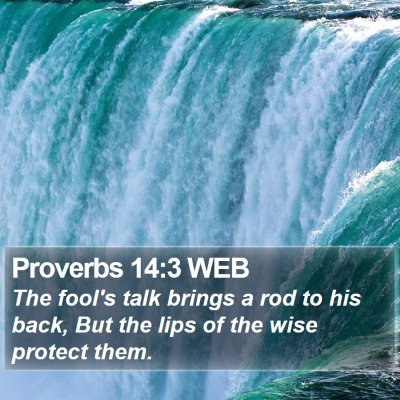 Proverbs 14:3 WEB Bible Verse Image