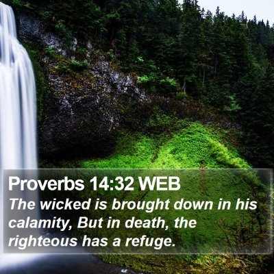 Proverbs 14:32 WEB Bible Verse Image