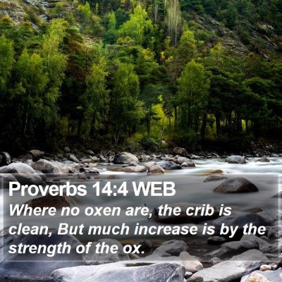 Proverbs 14:4 WEB Bible Verse Image