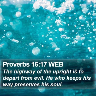 Proverbs 16:17 WEB Bible Verse Image