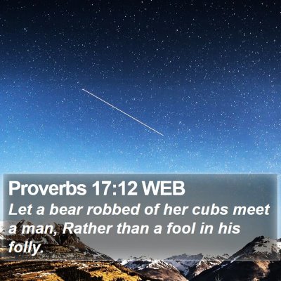 Proverbs 17:12 WEB Bible Verse Image