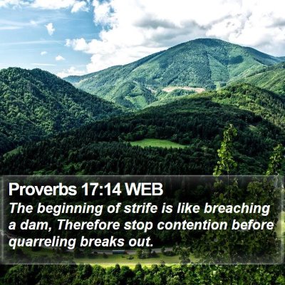 Proverbs 17:14 WEB Bible Verse Image