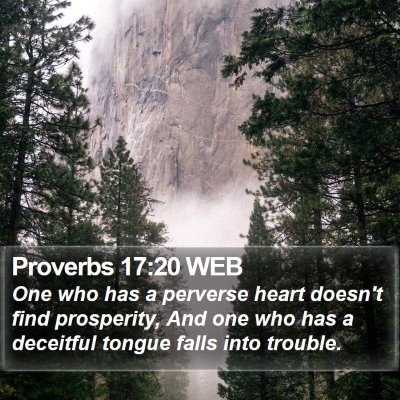 Proverbs 17:20 WEB Bible Verse Image