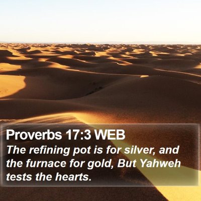 Proverbs 17:3 WEB Bible Verse Image