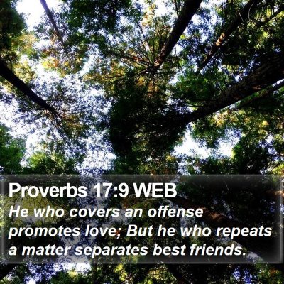 Proverbs 17:9 WEB Bible Verse Image